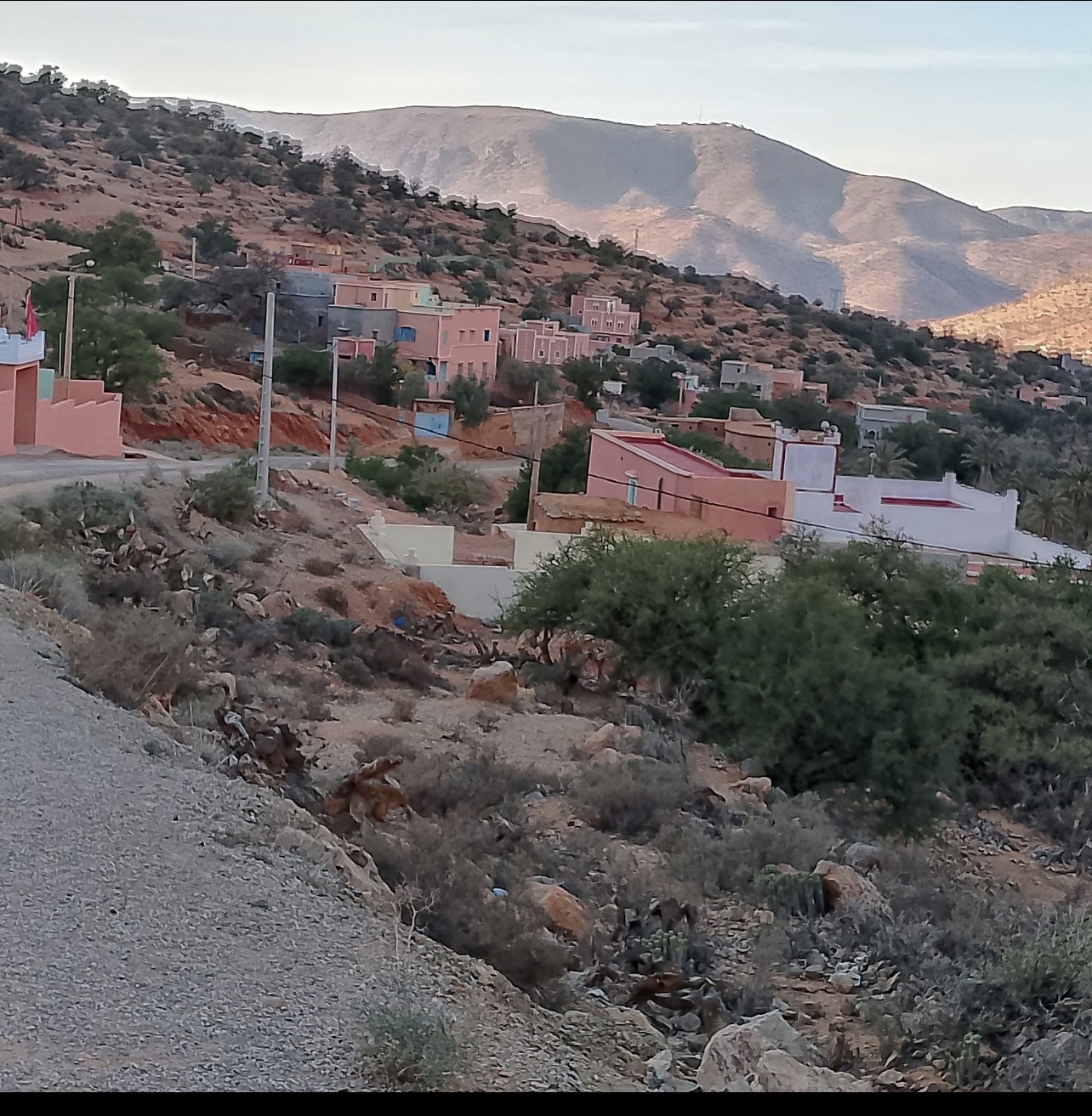 صورة من المجال المحلي